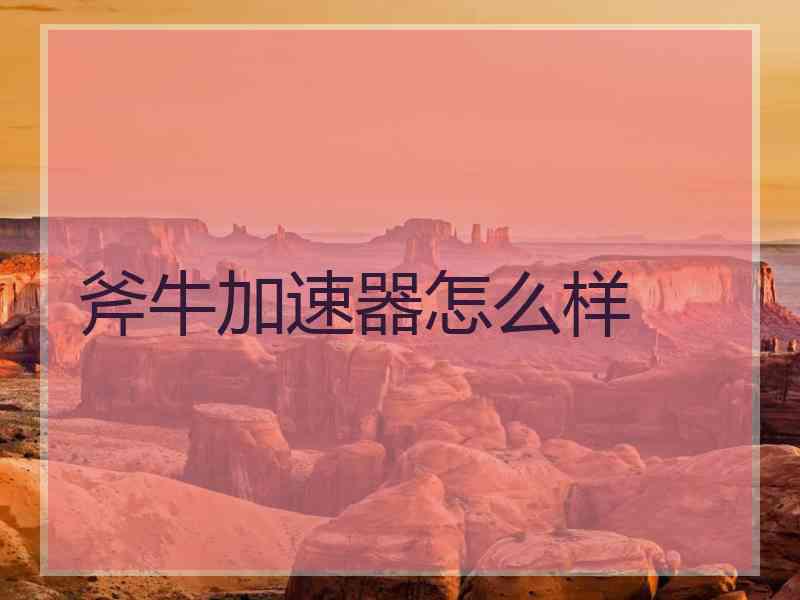 斧牛加速器怎么样