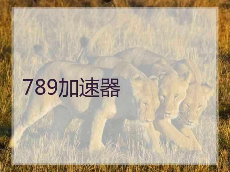 789加速器